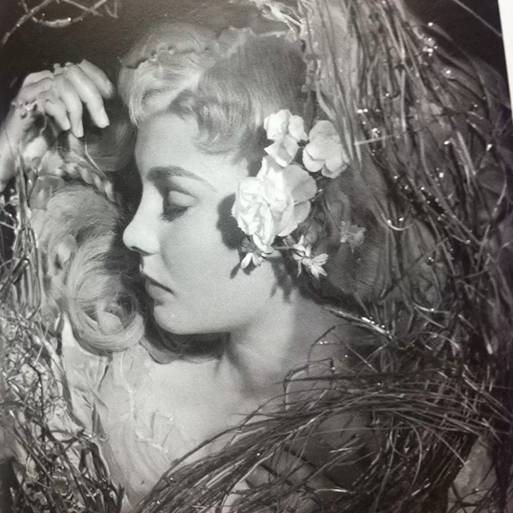 ハムレットの画像