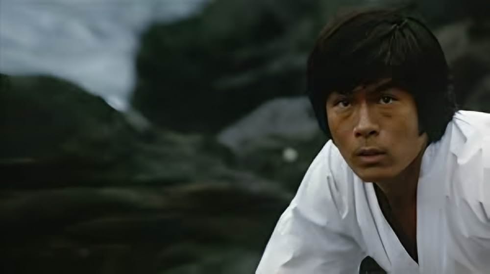 武闘拳 猛虎激殺！の写真