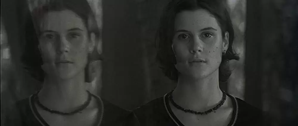 ある貴婦人の肖像の画像