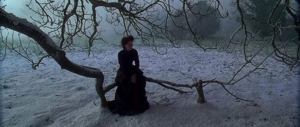 「ある貴婦人の肖像」ニコール・キッドマンの画像