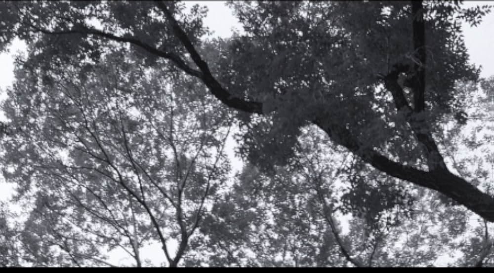 バスキアの画像