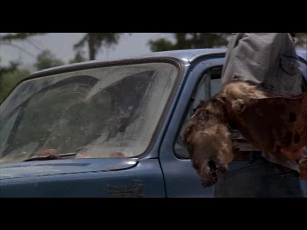 「ミス・ファイヤークラッカー」ティム・ロビンスの画像