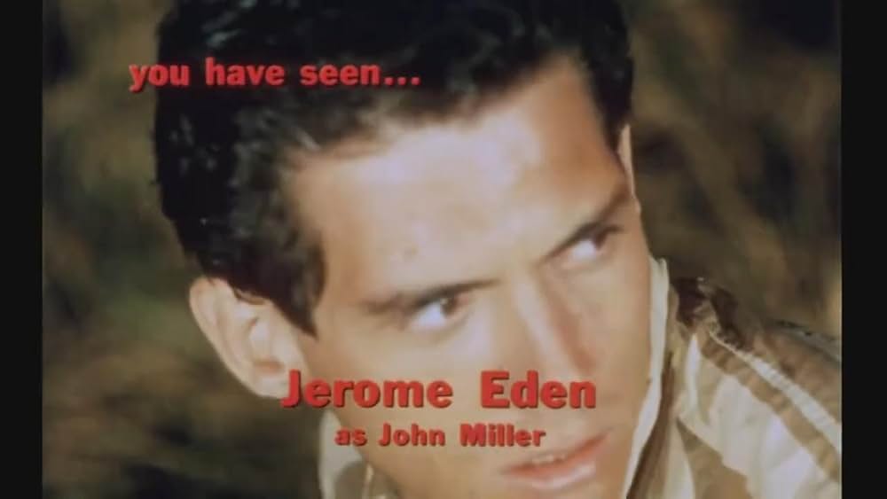 2000人の狂人／マニアック2000の画像