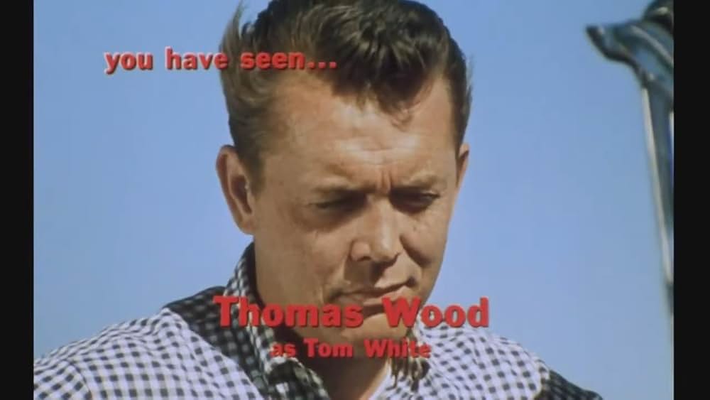 2000人の狂人／マニアック2000の画像