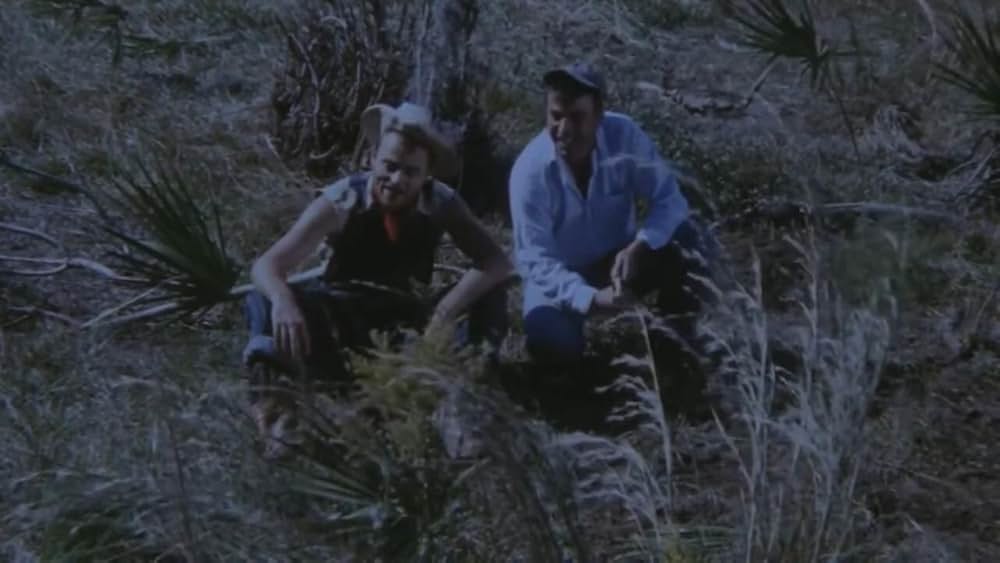 2000人の狂人／マニアック2000の画像