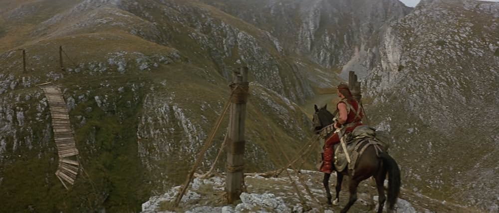 レッドソニアの画像