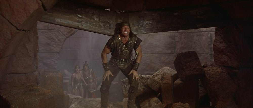 レッドソニアの画像