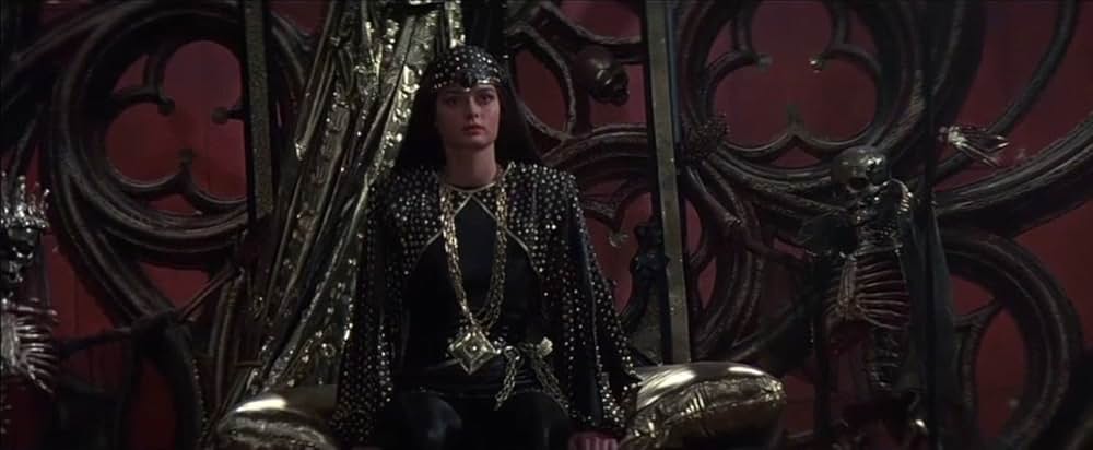 レッドソニアの画像