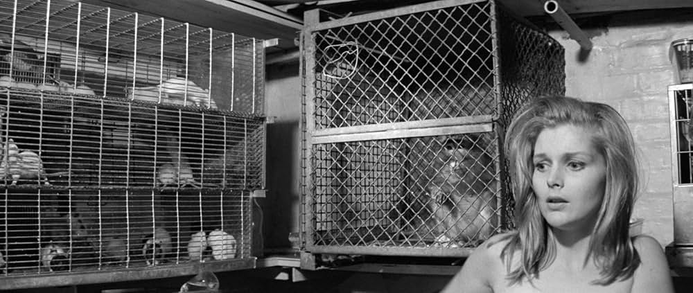 バニー・レークは行方不明の画像