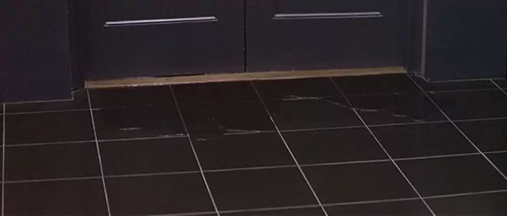 ラリー・フリントの画像