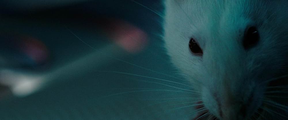 オキシジェンの画像