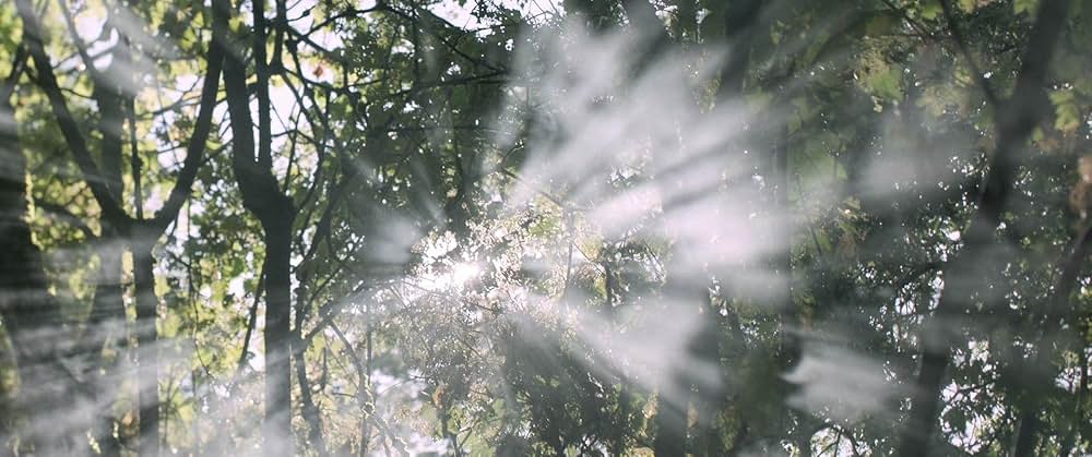 オキシジェンの画像