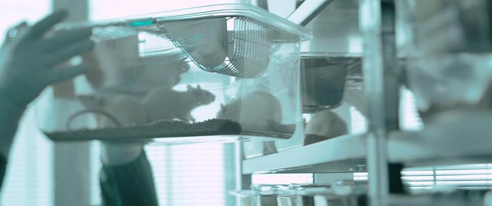 オキシジェンの画像