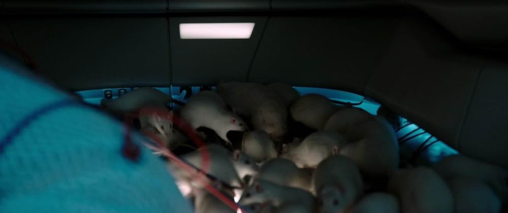 オキシジェンの画像