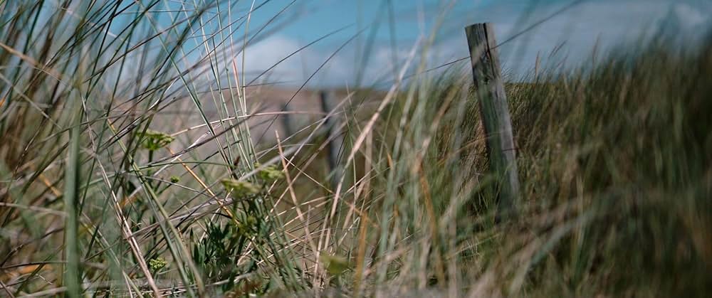 オキシジェンの画像