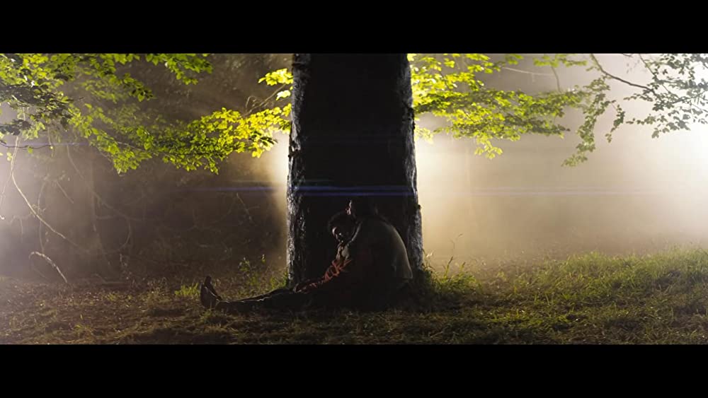 「イン・ジ・アース」ジョエル・フライ & ヘイリー・スクワイアーズの画像