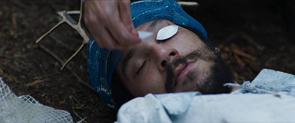 イン・ジ・アースの画像