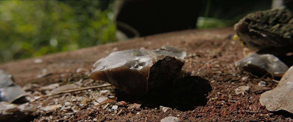 イン・ジ・アースの画像
