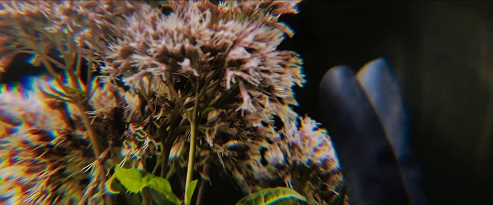 イン・ジ・アースの画像