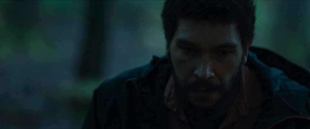 「イン・ジ・アース」ジョエル・フライの画像