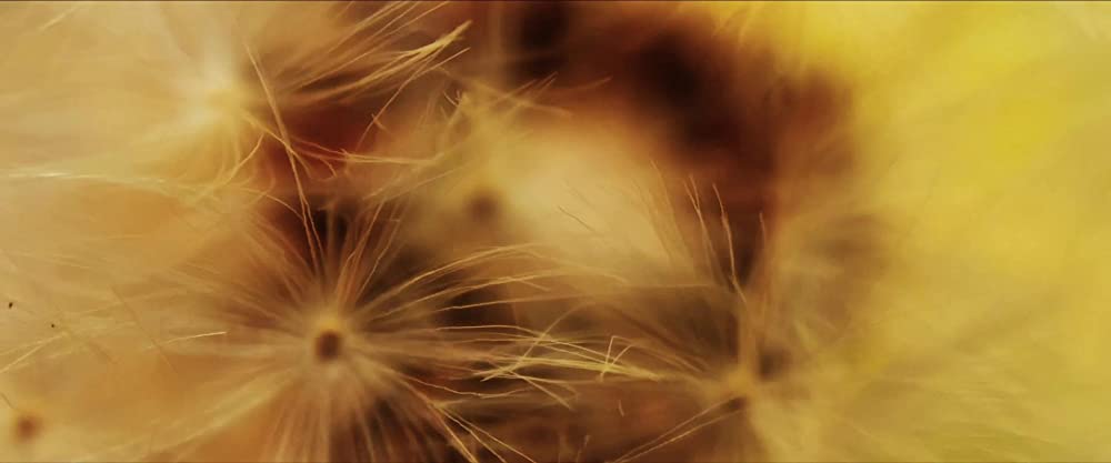 イン・ジ・アースの画像