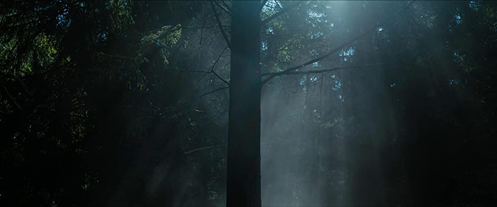 イン・ジ・アースの画像