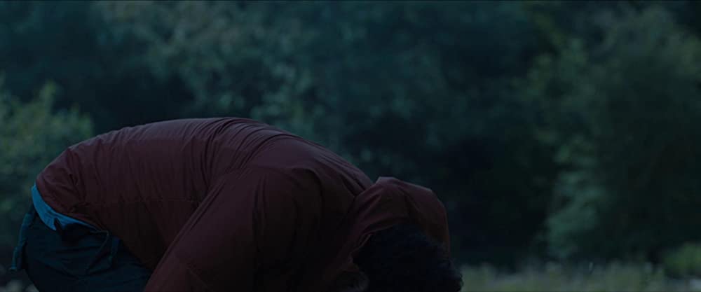 イン・ジ・アースの画像