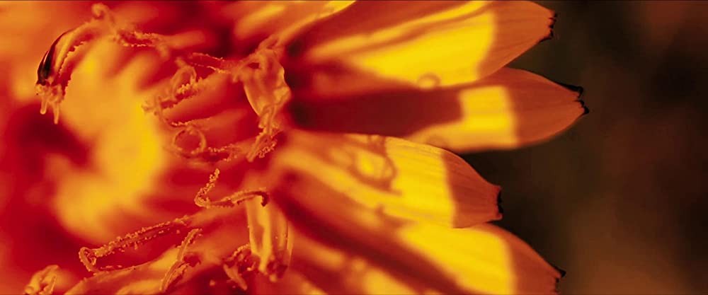 イン・ジ・アースの画像