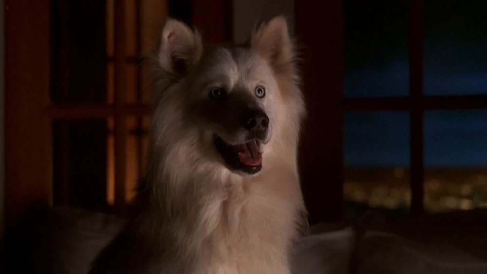 ザ・エージェントの画像