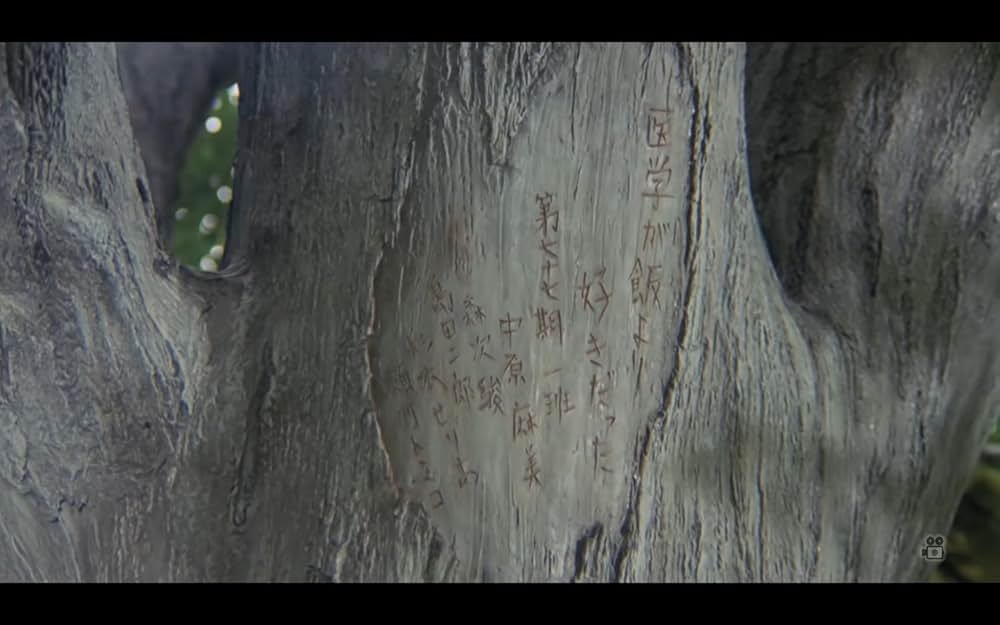 菩提樹 リンデンバウムの画像