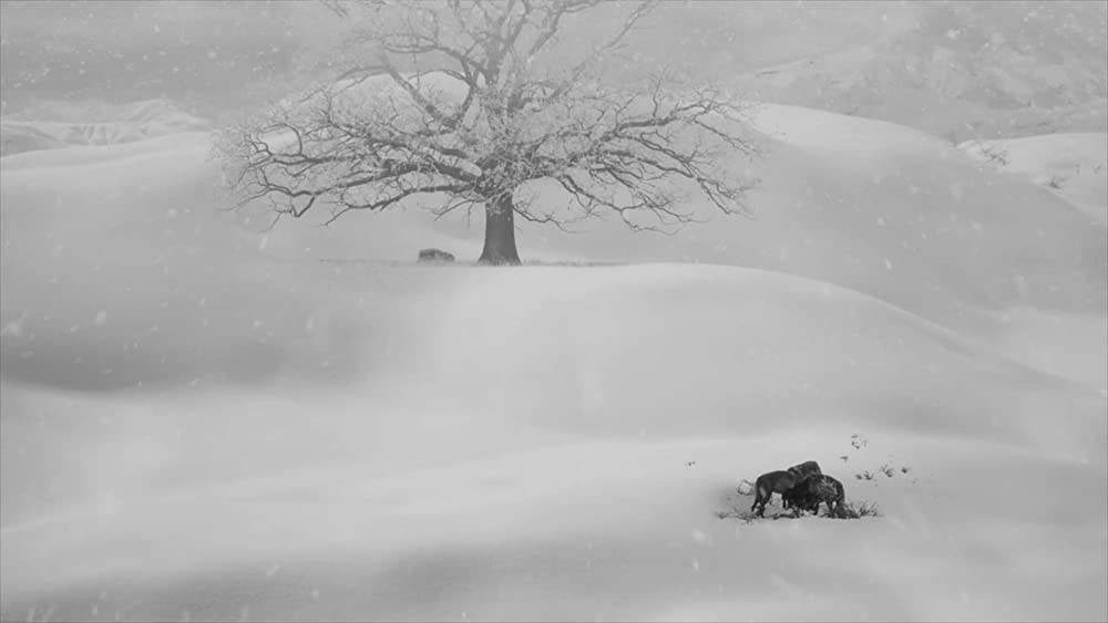 24フレームの画像