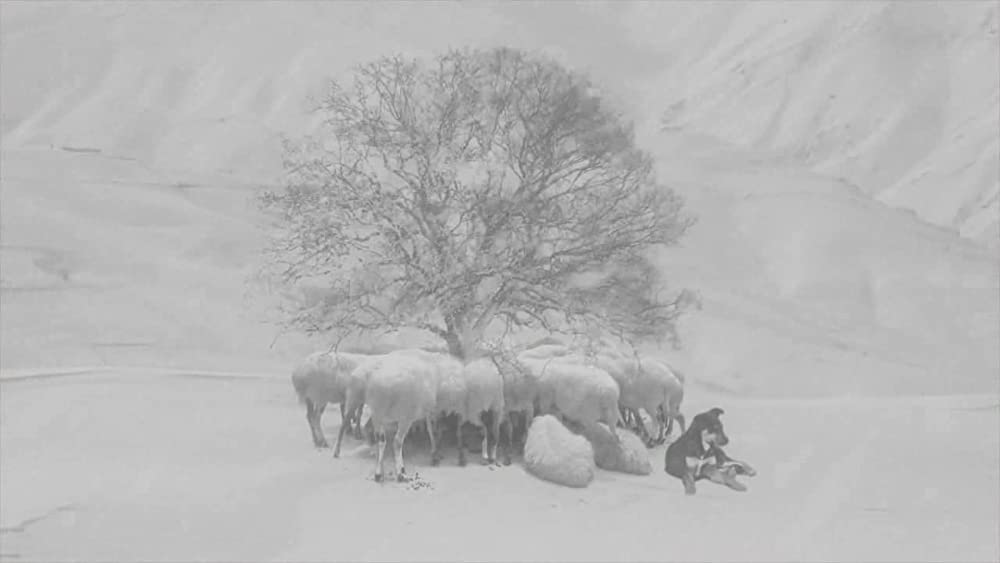 24フレームの画像