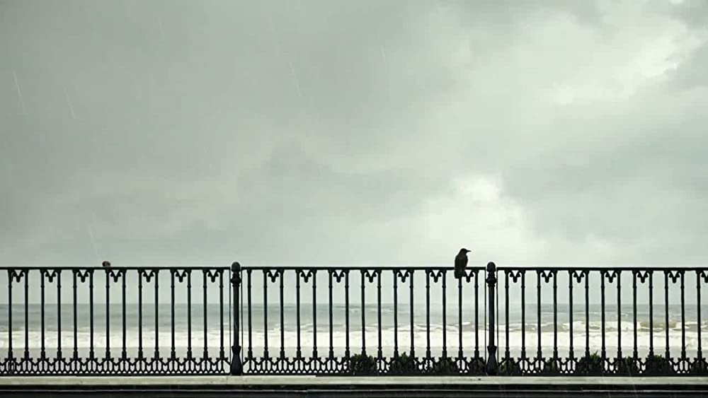 24フレームの画像