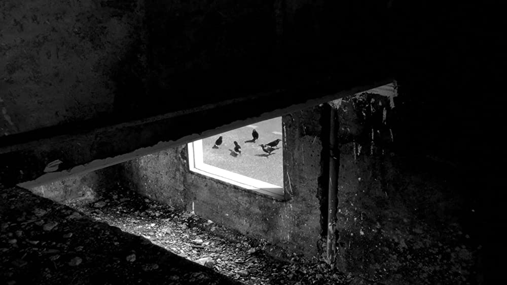 24フレームの画像