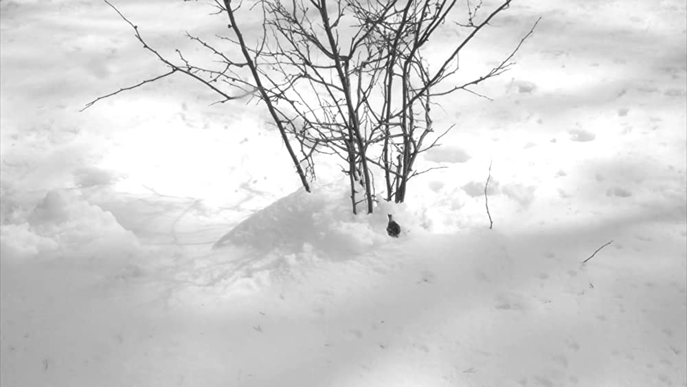 24フレームの画像