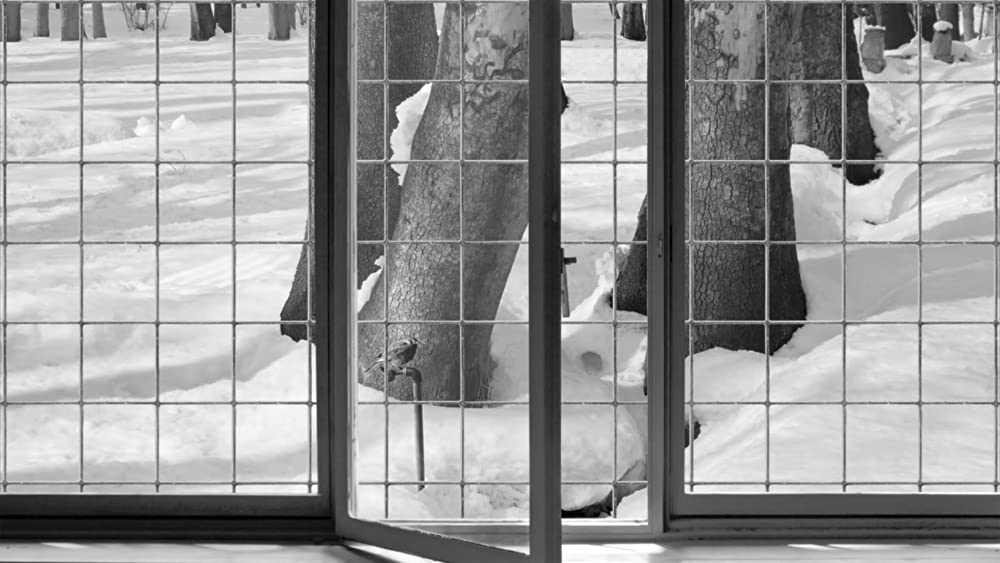 24フレームの画像