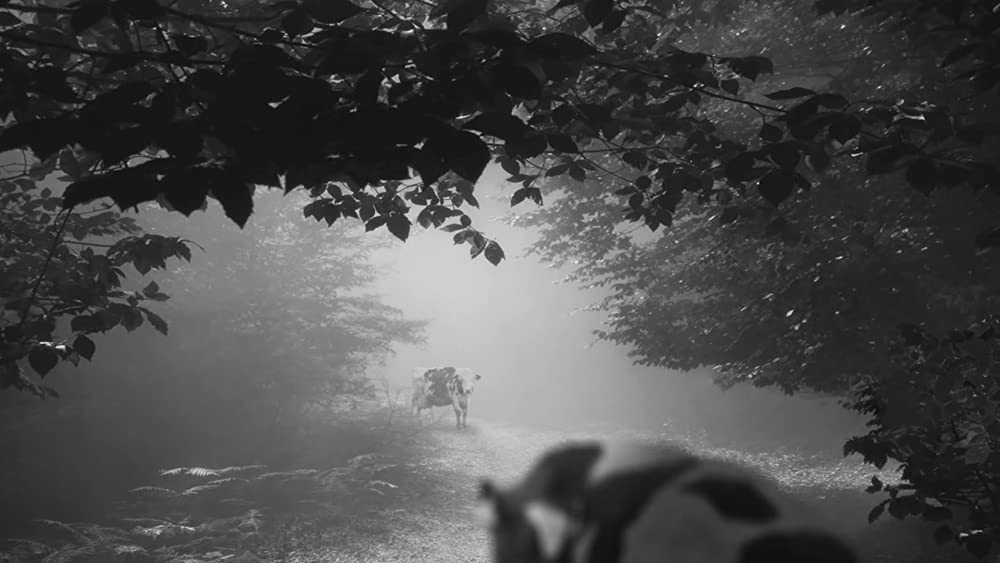 24フレームの画像