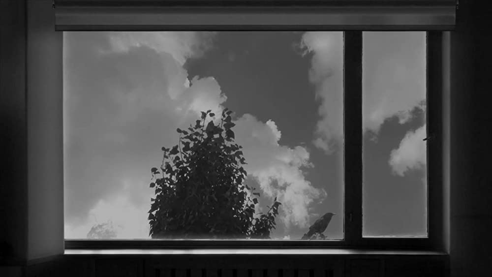 24フレームの画像