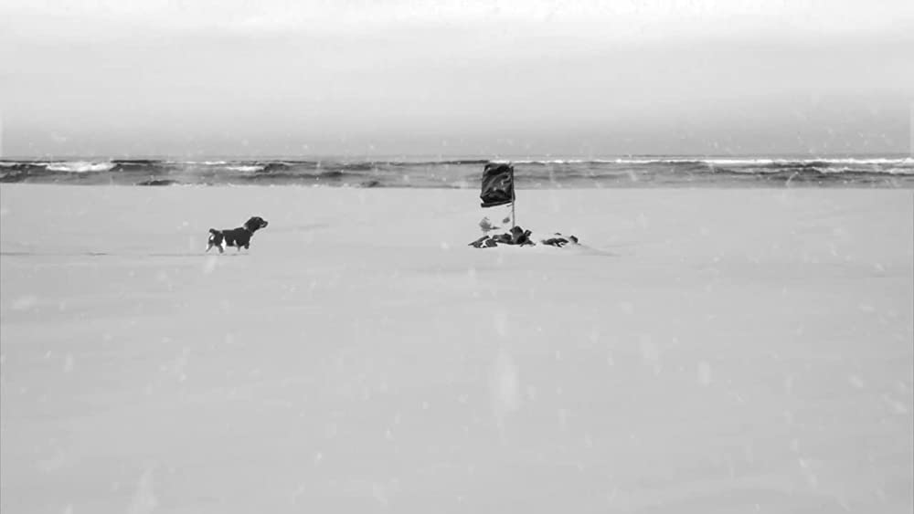 24フレームの画像