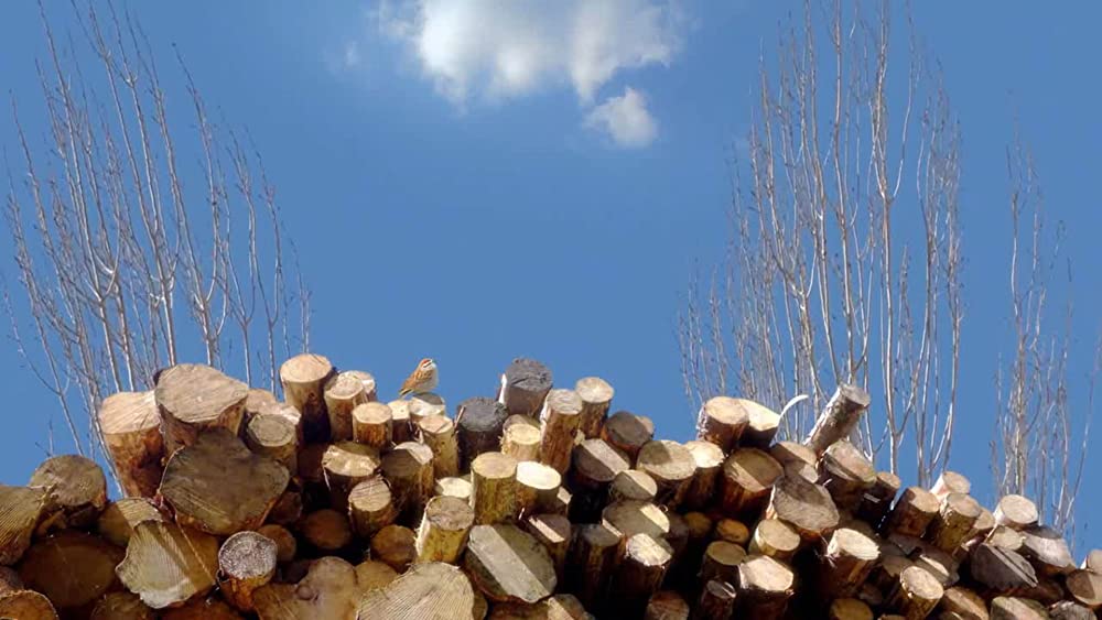 24フレームの画像