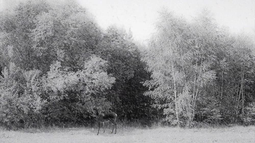 24フレームの画像