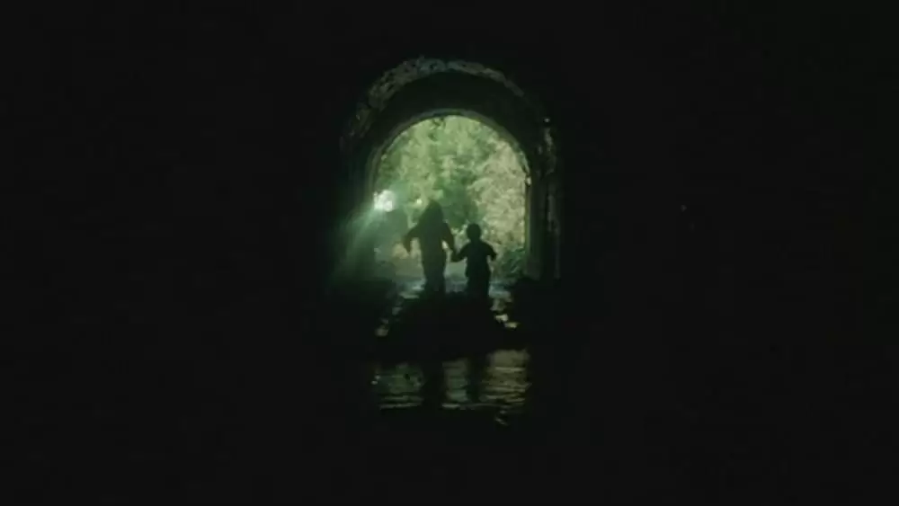 「幻の光」の画像