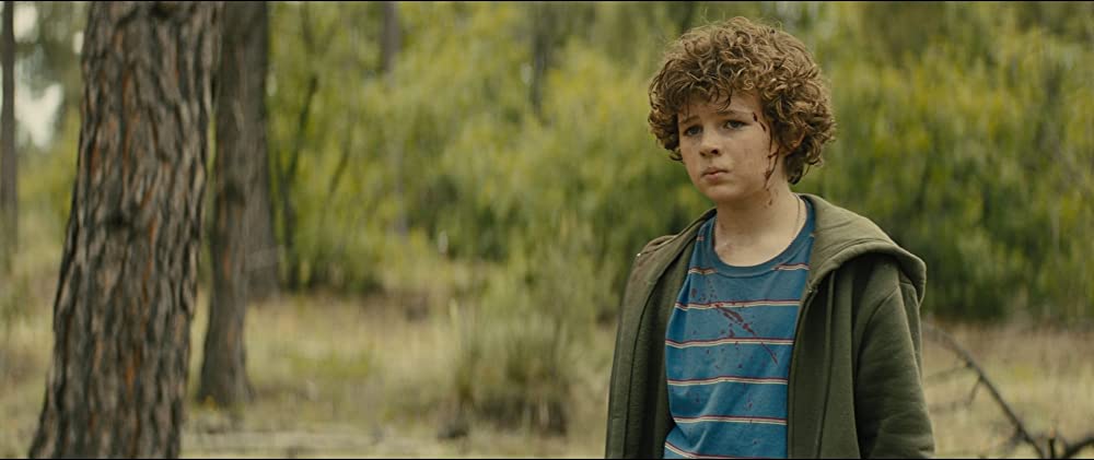 モンタナの目撃者の画像