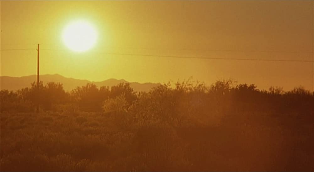 ニア・ダーク／月夜の出来事の画像
