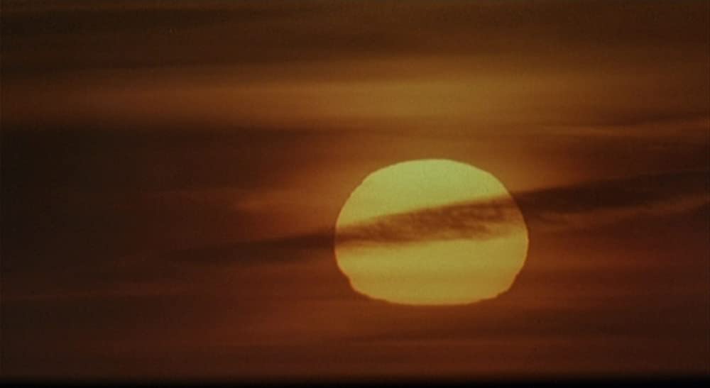 ニア・ダーク／月夜の出来事の画像