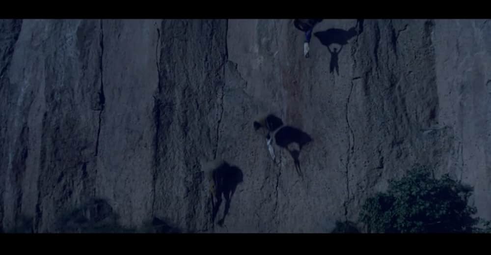 アマゾネス対ドラゴン 世紀の激突の画像