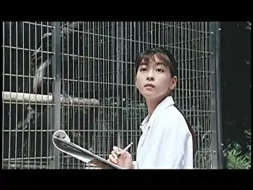 ガメラ 大怪獣空中決戦の画像