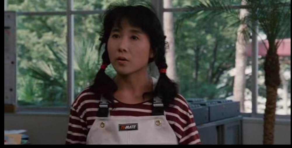 ガメラ 大怪獣空中決戦の画像