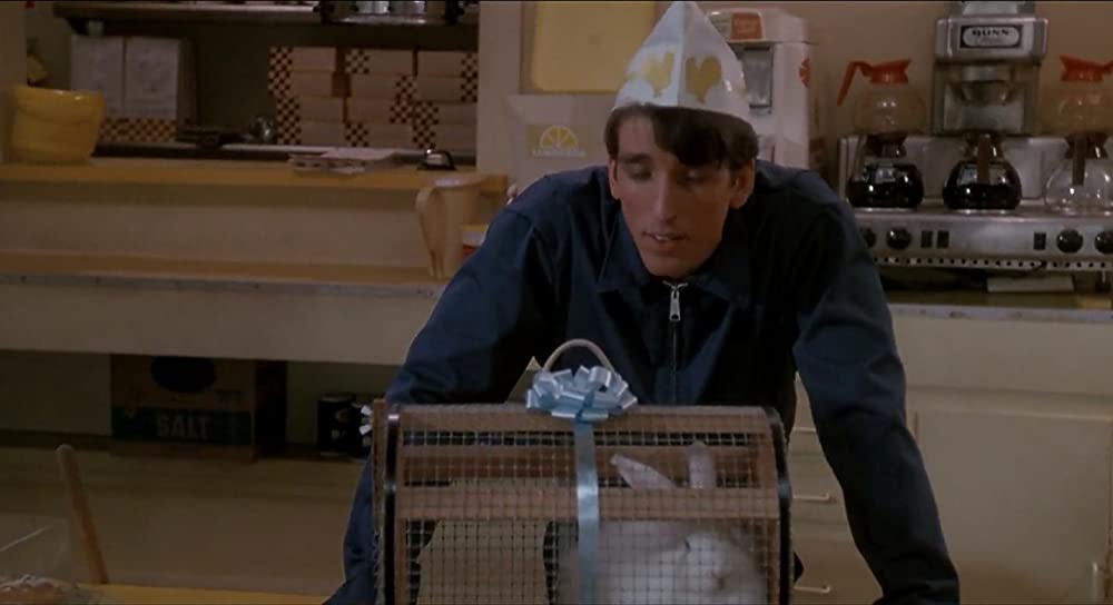 ダブルボーダーの画像