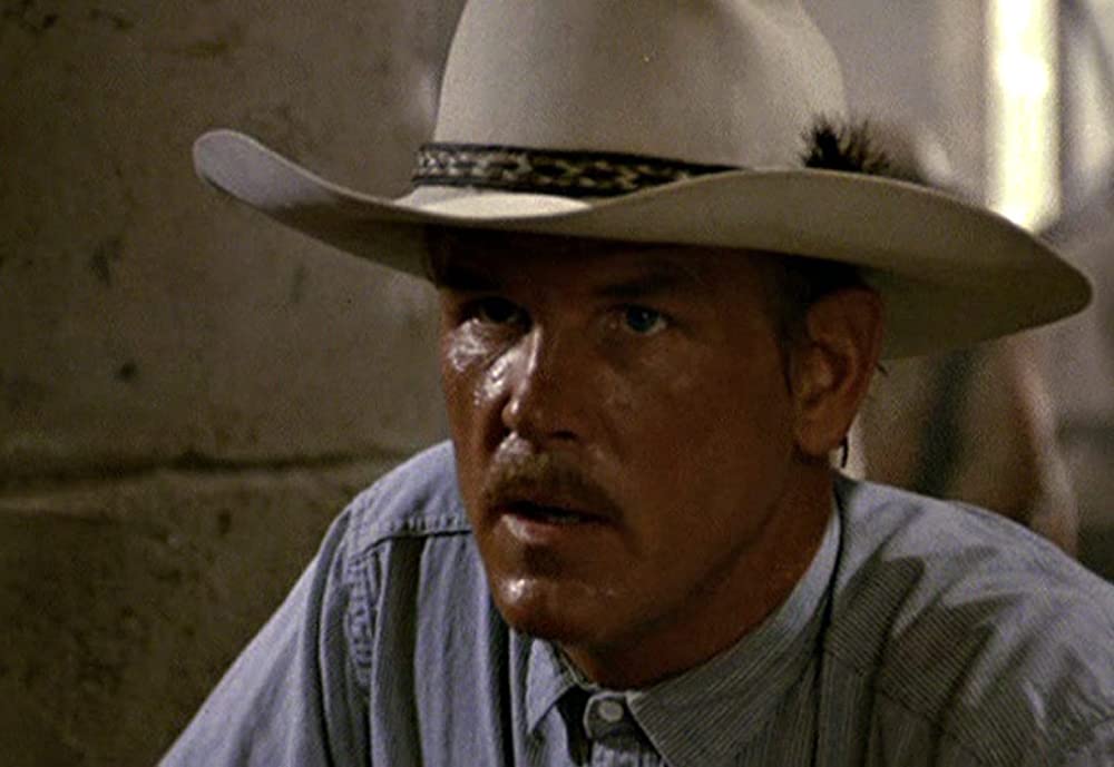 ダブルボーダーの画像